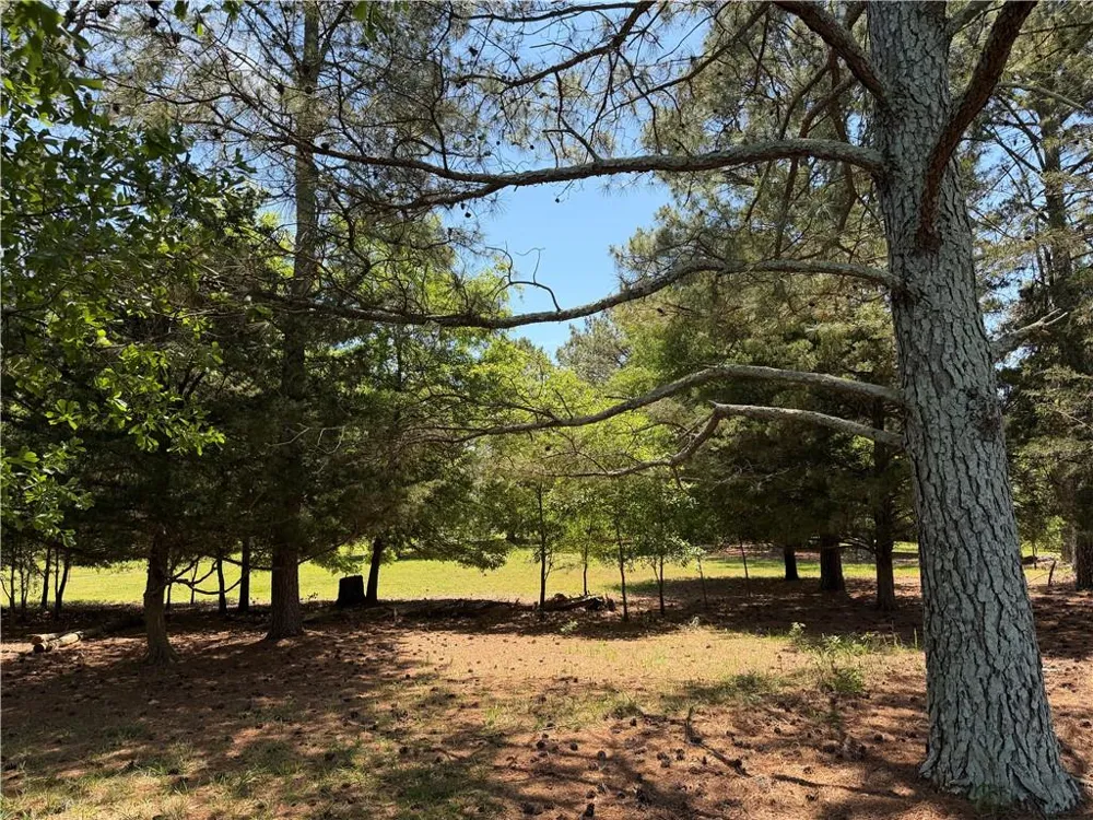 1593 Old Alabama Road Taylorsville, GA 30178