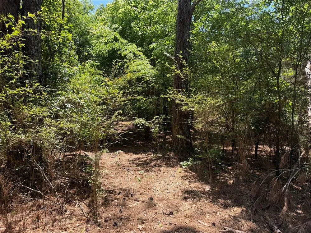 1593 Old Alabama Road Taylorsville, GA 30178