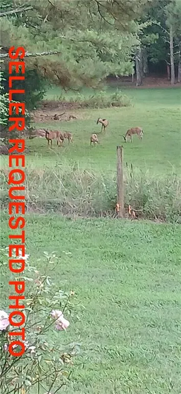 1593 Old Alabama Road Taylorsville, GA 30178
