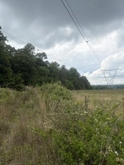 Candies Creek Road SW McDonald, TN 37353