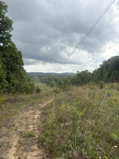 Candies Creek Road SW McDonald, TN 37353