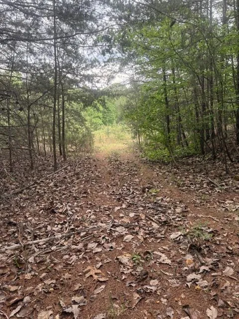 Candies Creek Road SW McDonald, TN 37353