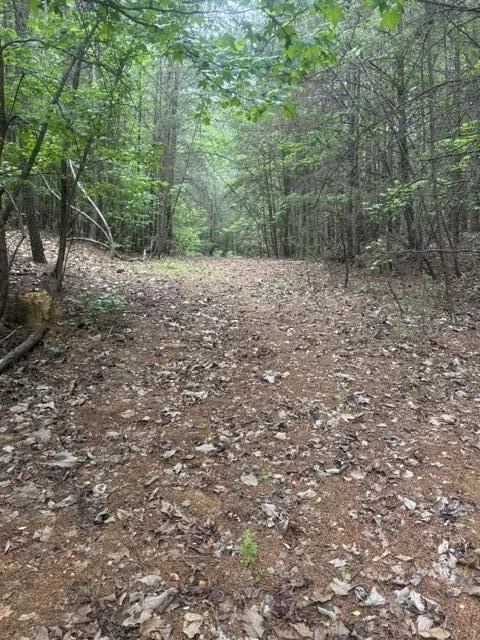 Candies Creek Road SW McDonald, TN 37353