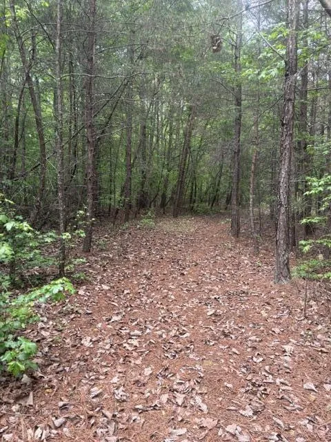 Candies Creek Road SW McDonald, TN 37353