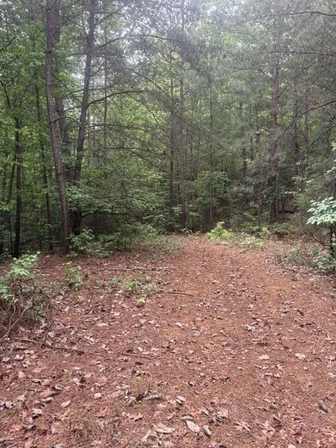 Candies Creek Road SW McDonald, TN 37353