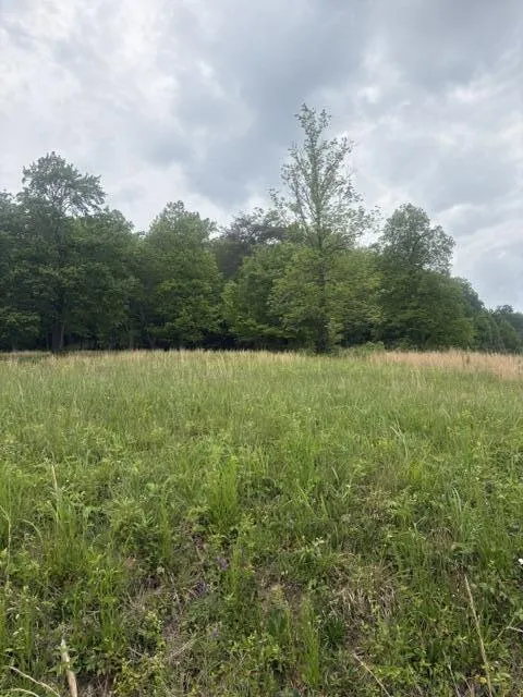 Candies Creek Road SW McDonald, TN 37353