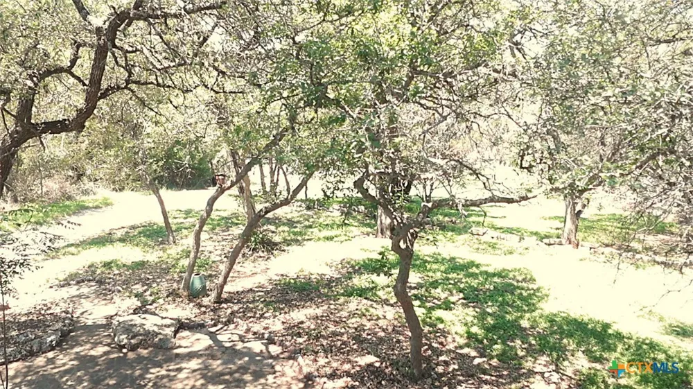 7821 Elk Drive Spring Branch, TX 78070