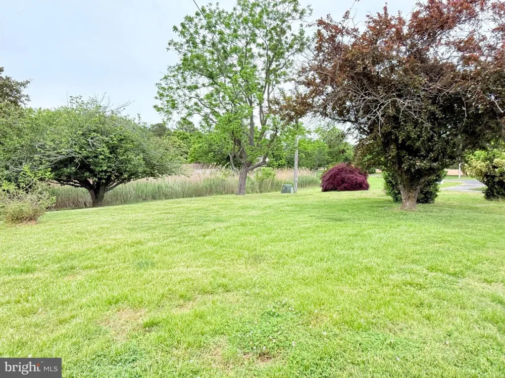48724 CURLEYS ROAD Ridge, MD 20680