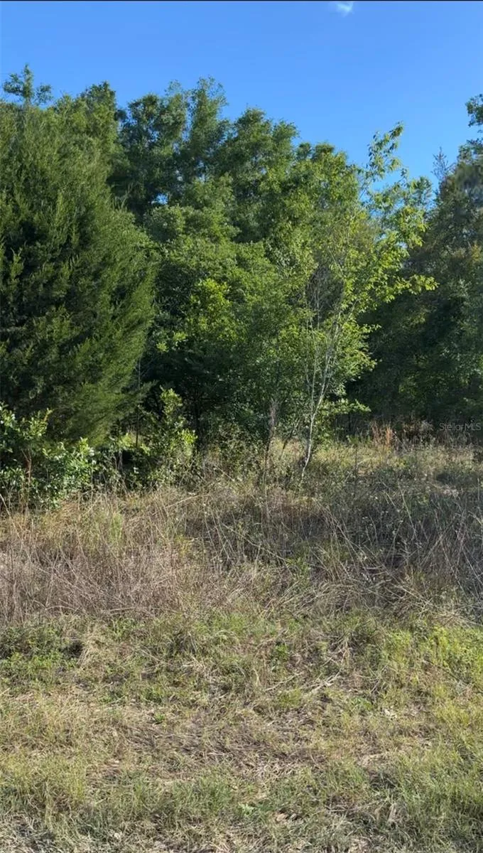 2405 WILSON ST STREET Inverness, FL 34453