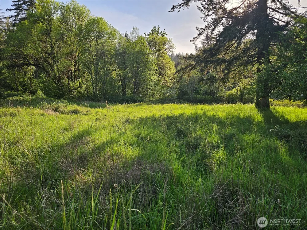 39 lot 19 Middle Earth Lane Elma, WA 98541