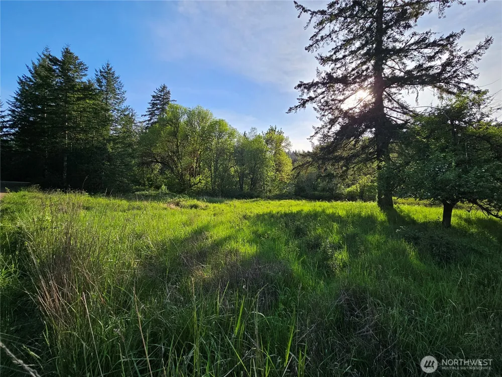 39 lot 19 Middle Earth Lane Elma, WA 98541