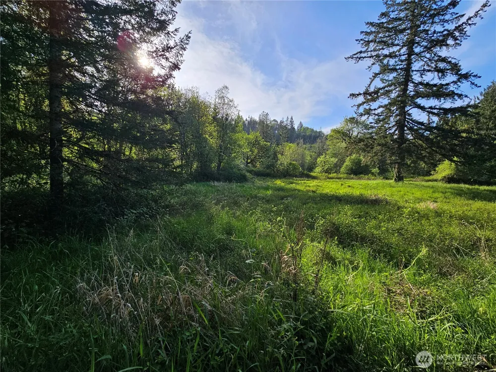 39 lot 19 Middle Earth Lane Elma, WA 98541
