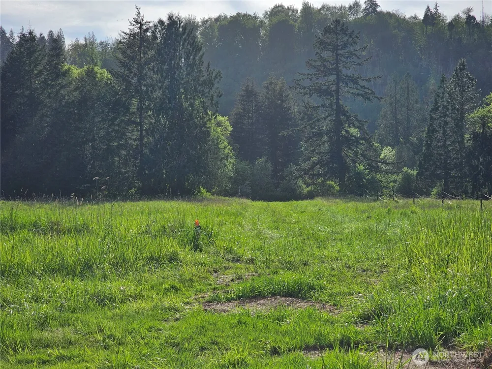 39 lot 19 Middle Earth Lane Elma, WA 98541