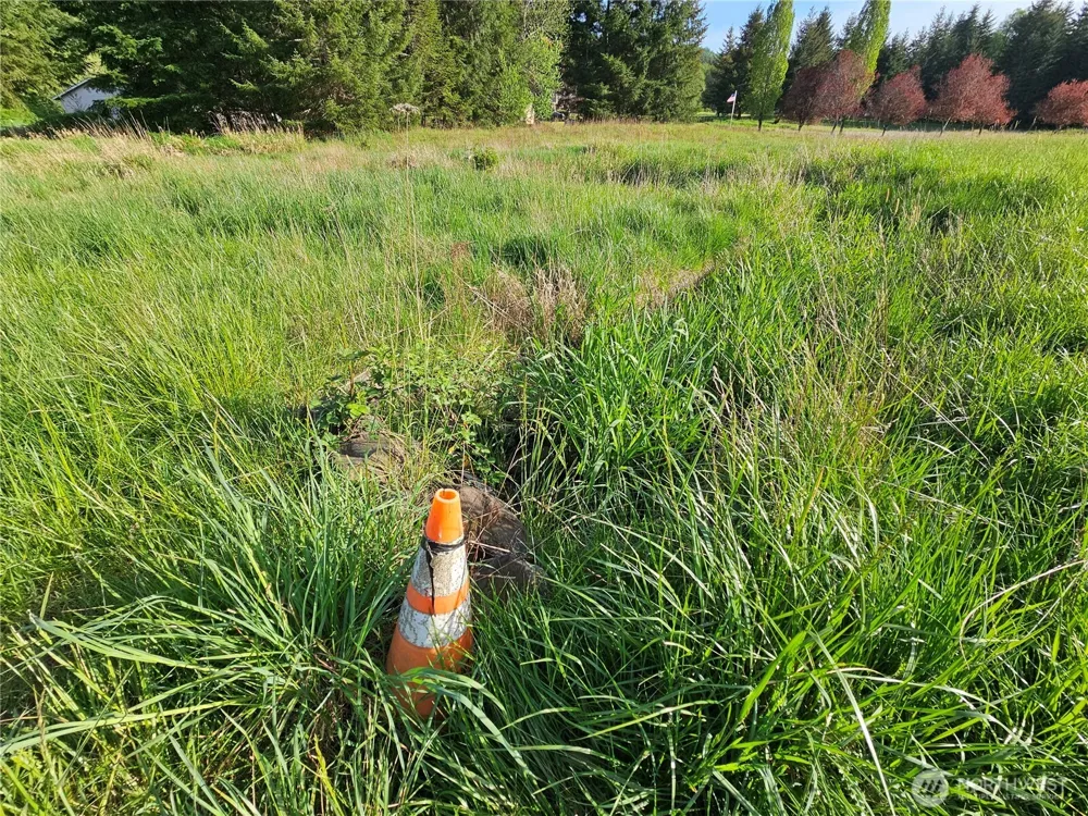 39 lot 19 Middle Earth Lane Elma, WA 98541