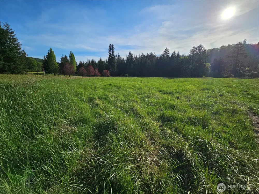 39 lot 19 Middle Earth Lane Elma, WA 98541