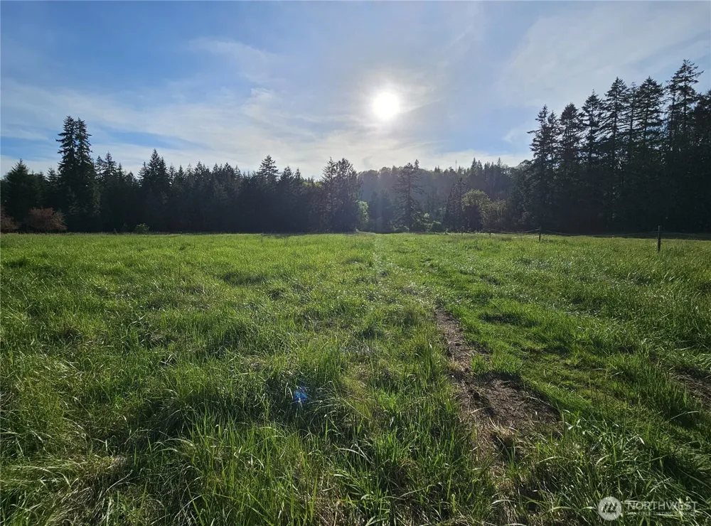 39 lot 19 Middle Earth Lane Elma, WA 98541