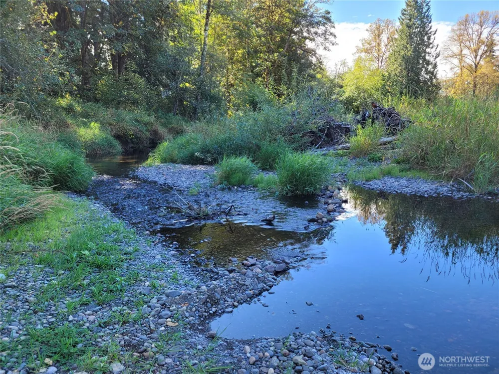 39 lot 19 Middle Earth Lane Elma, WA 98541