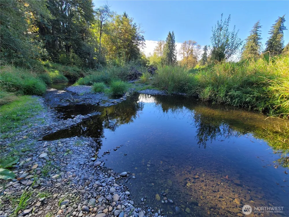 39 lot 19 Middle Earth Lane Elma, WA 98541