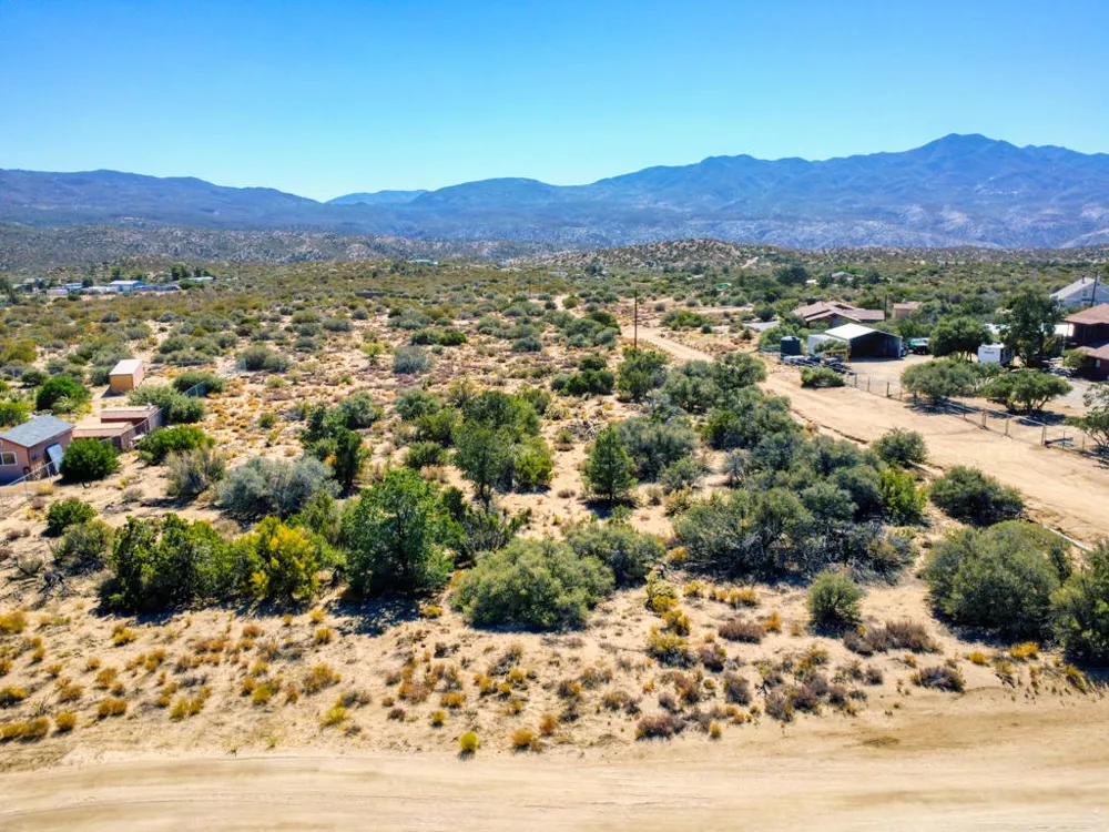 635271004 Palm Canyon Dr Mountain Center, CA 92561