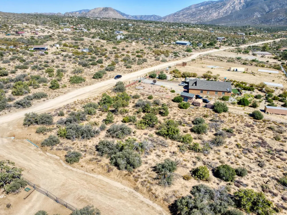 635271004 Palm Canyon Dr Mountain Center, CA 92561