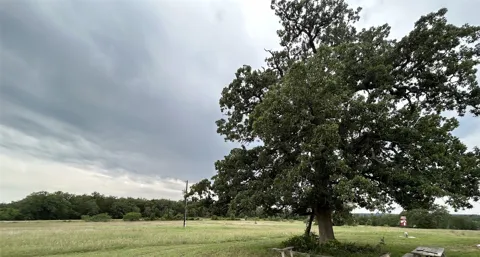 136 Fm 2239 Road