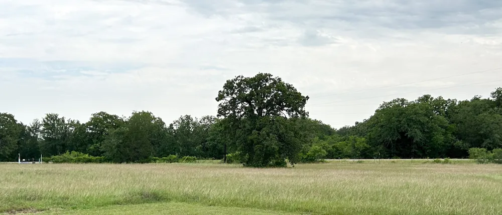 136 Fm 2239 Road Paige, TX 78659