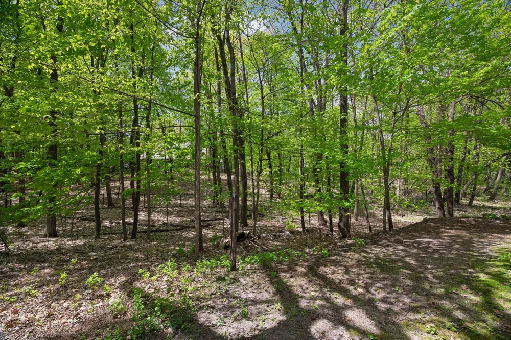 20545 Linden Road Deephaven, MN 55331
