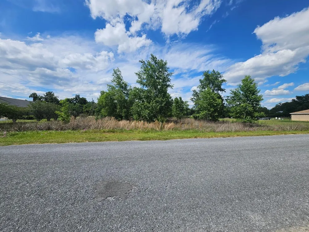SE 140TH STREET Summerfield, FL 34491