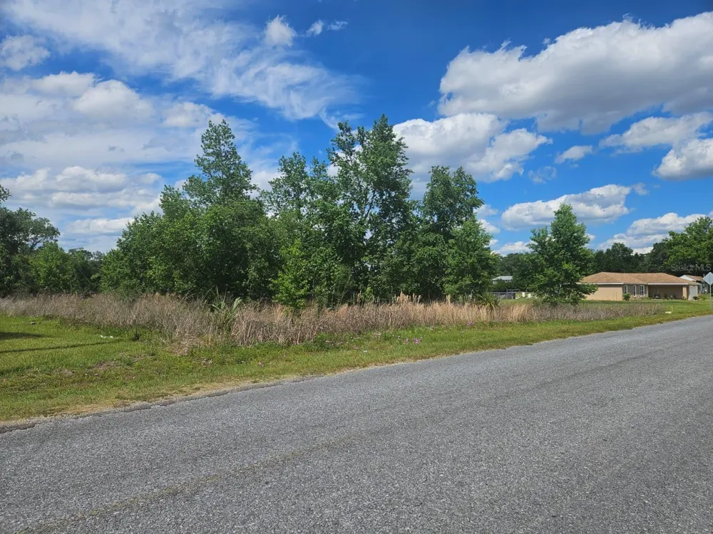 SE 140TH STREET Summerfield, FL 34491
