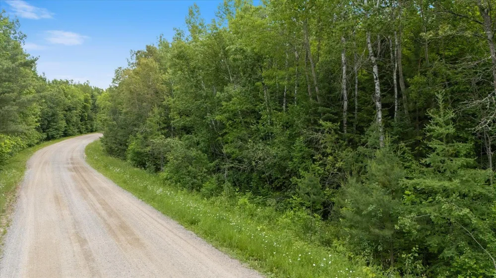 TBD "Lot B" Co Rd 533 Effie, MN 56639