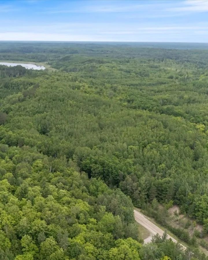 TBD "Lot B" Co Rd 533 Effie, MN 56639