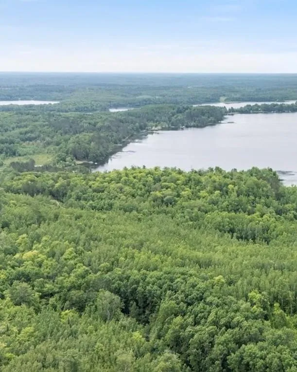 TBD "Lot B" Co Rd 533 Effie, MN 56639