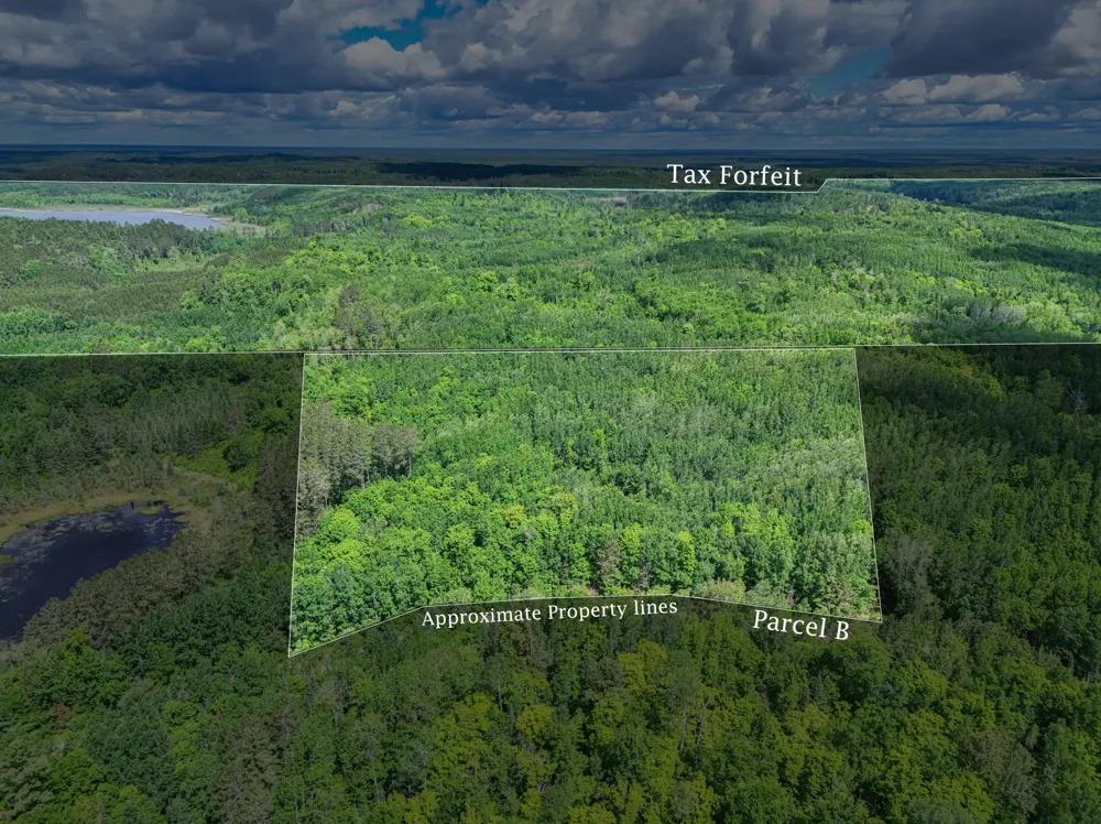 TBD "Lot B" Co Rd 533 Effie, MN 56639
