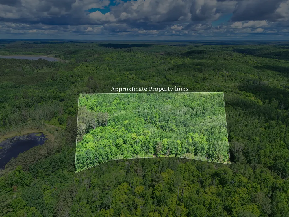 TBD "Lot B" Co Rd 533 Effie, MN 56639