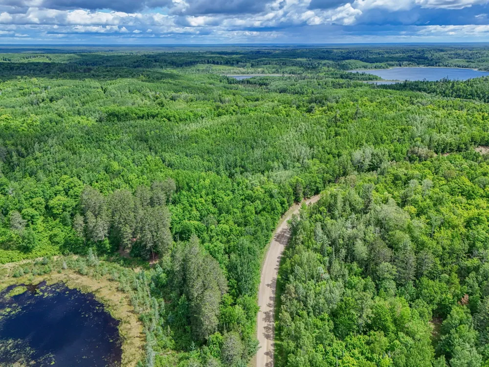TBD "Lot B" Co Rd 533 Effie, MN 56639