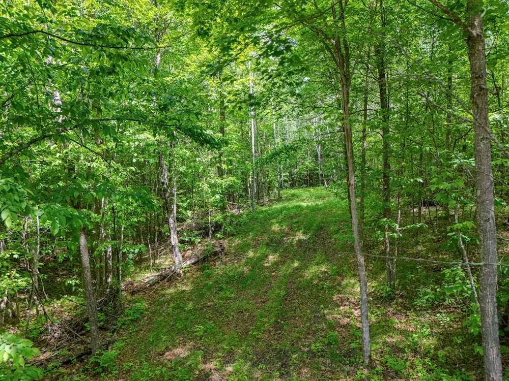 TBD "Lot B" Co Rd 533 Effie, MN 56639