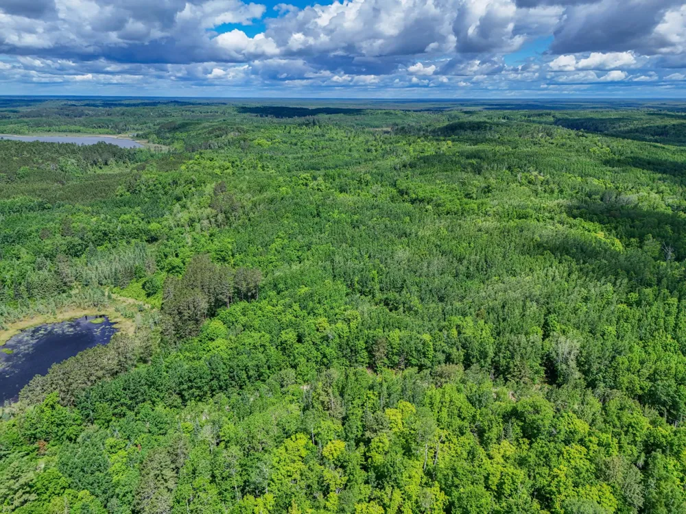 TBD "Lot B" Co Rd 533 Effie, MN 56639