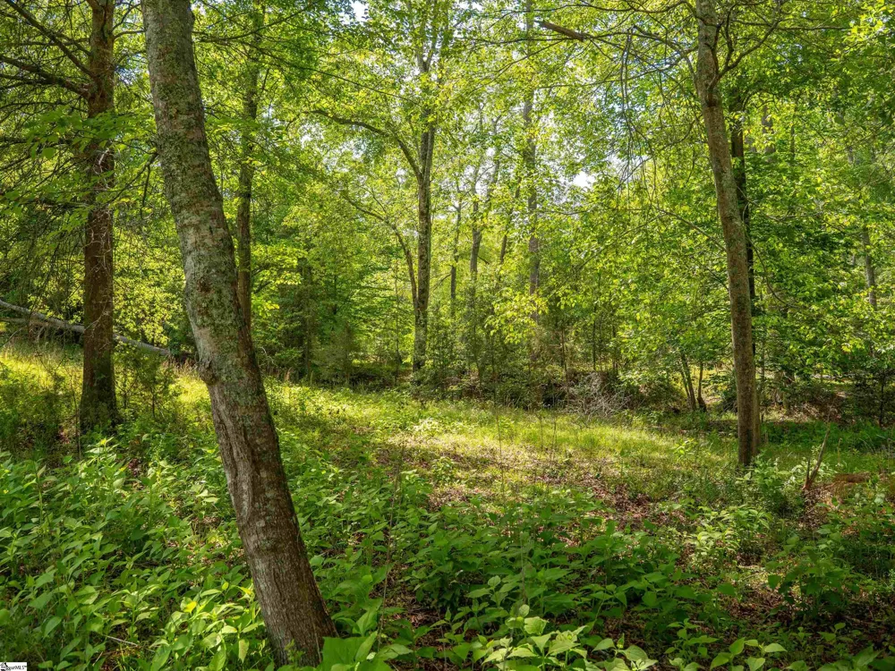 1610 Cannon Bottom Road #Lot 4 Belton, SC 29627
