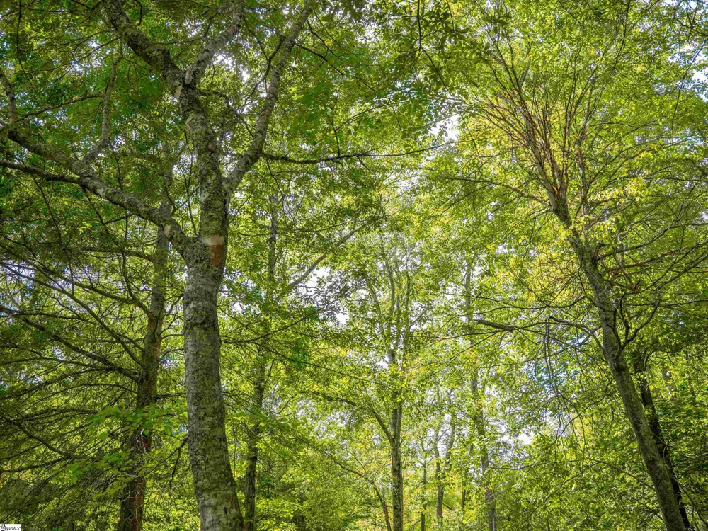 1610 Cannon Bottom Road #Lot 4 Belton, SC 29627
