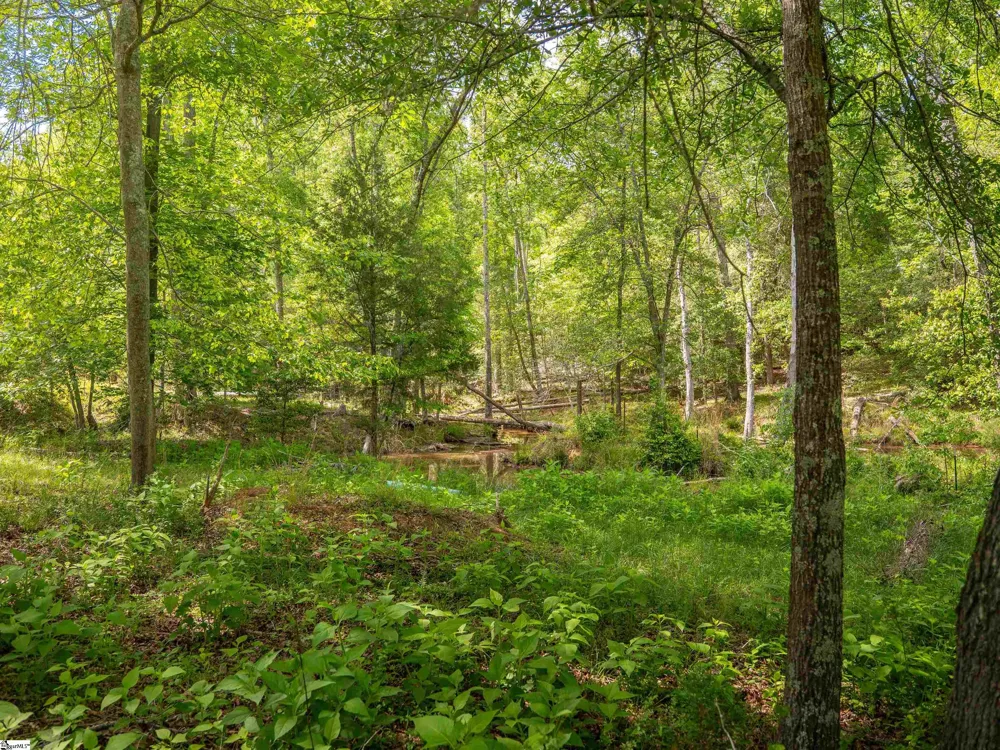1610 Cannon Bottom Road #Lot 4 Belton, SC 29627