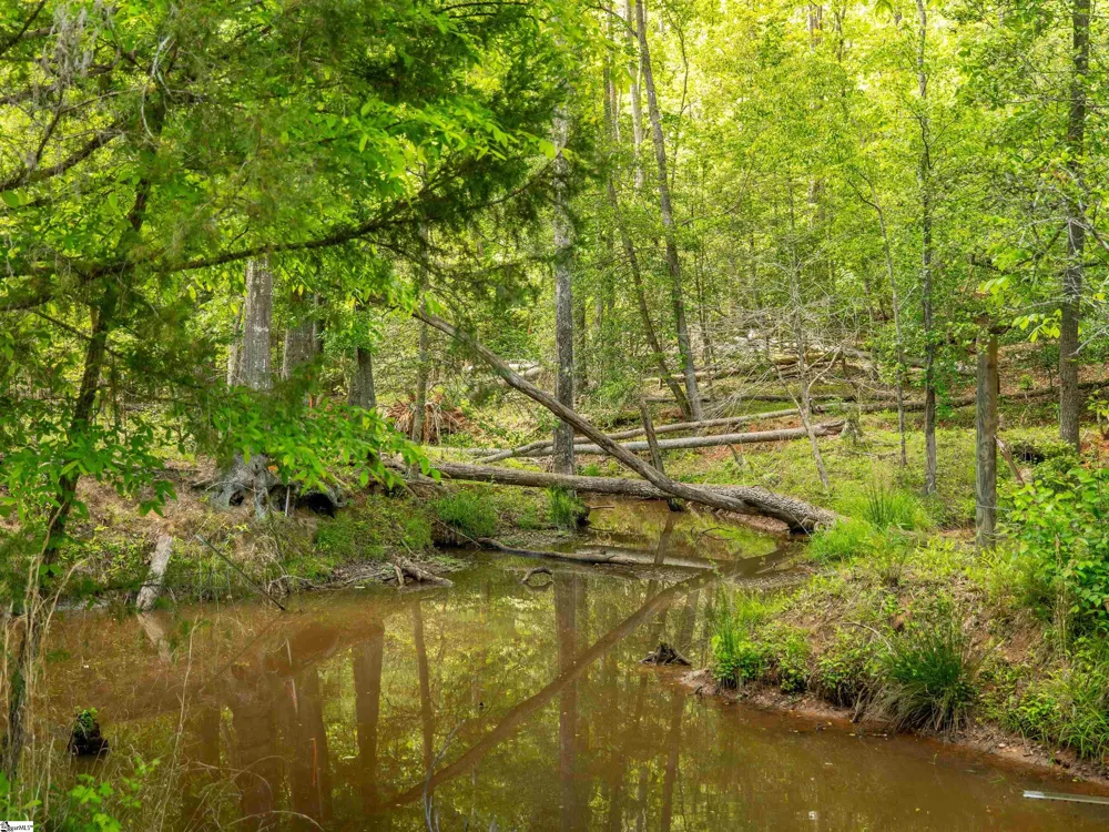 1610 Cannon Bottom Road #Lot 4 Belton, SC 29627