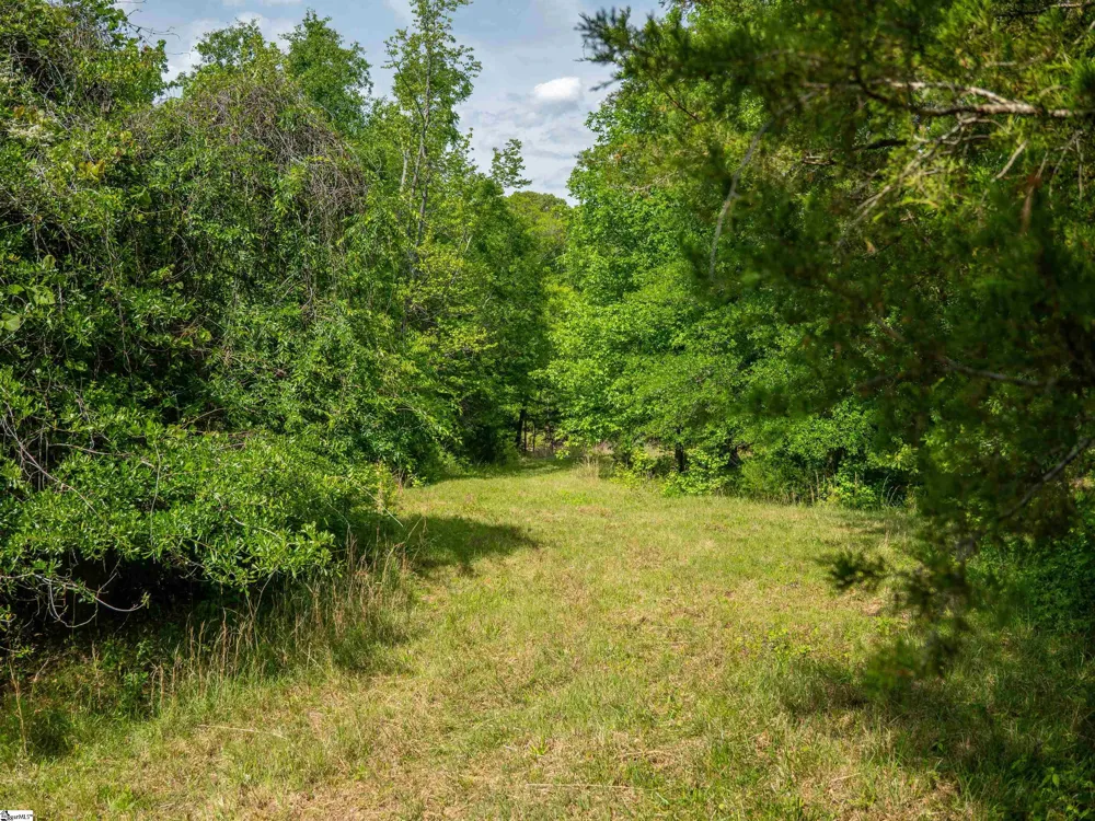 1610 Cannon Bottom Road #Lot 4 Belton, SC 29627