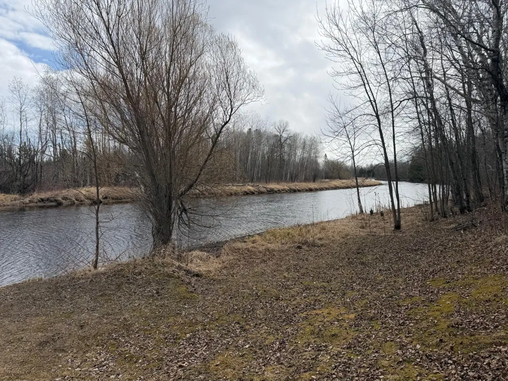 3630 County Road 142 International Falls, MN 56649