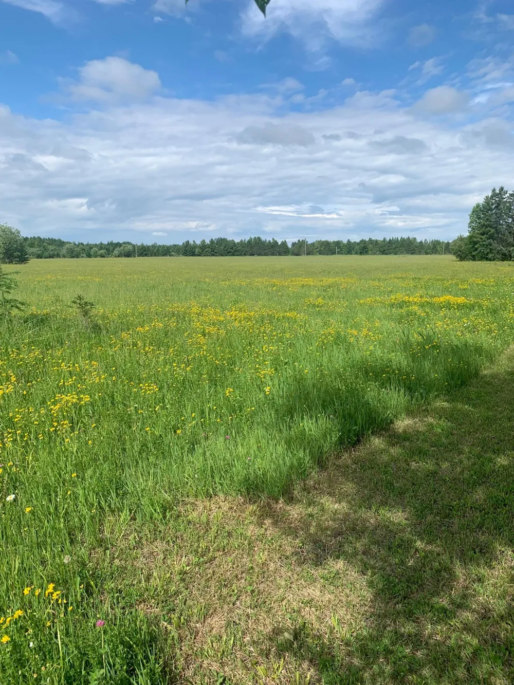 3630 County Road 142 International Falls, MN 56649