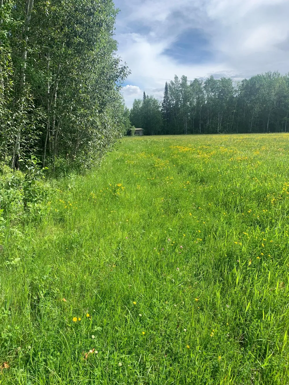 3630 County Road 142 International Falls, MN 56649