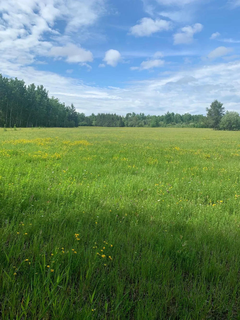 3630 County Road 142 International Falls, MN 56649