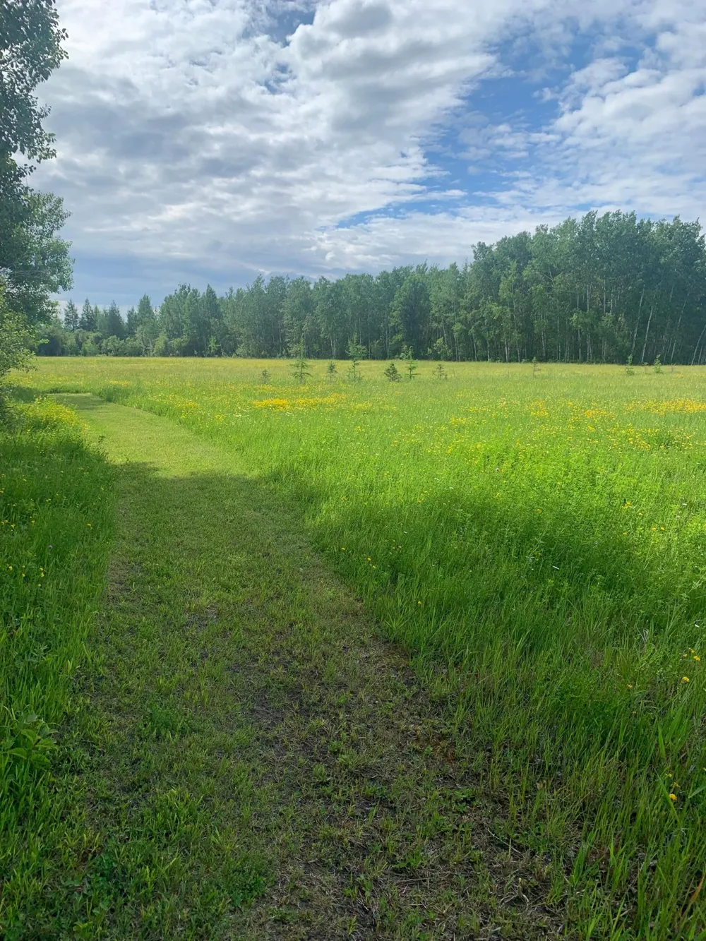 3630 County Road 142 International Falls, MN 56649