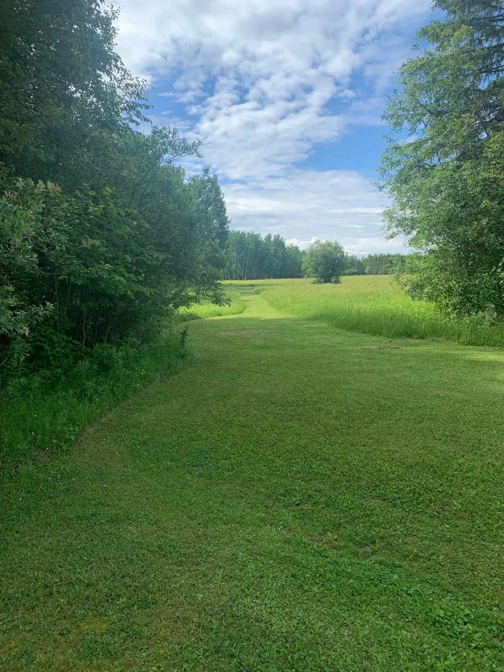 3630 County Road 142 International Falls, MN 56649
