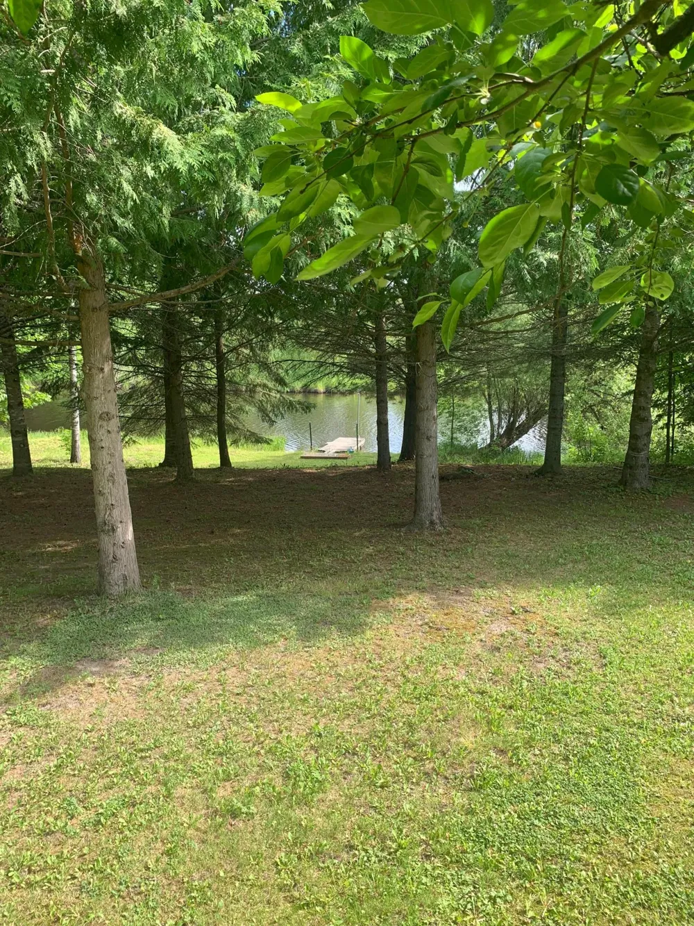 3630 County Road 142 International Falls, MN 56649