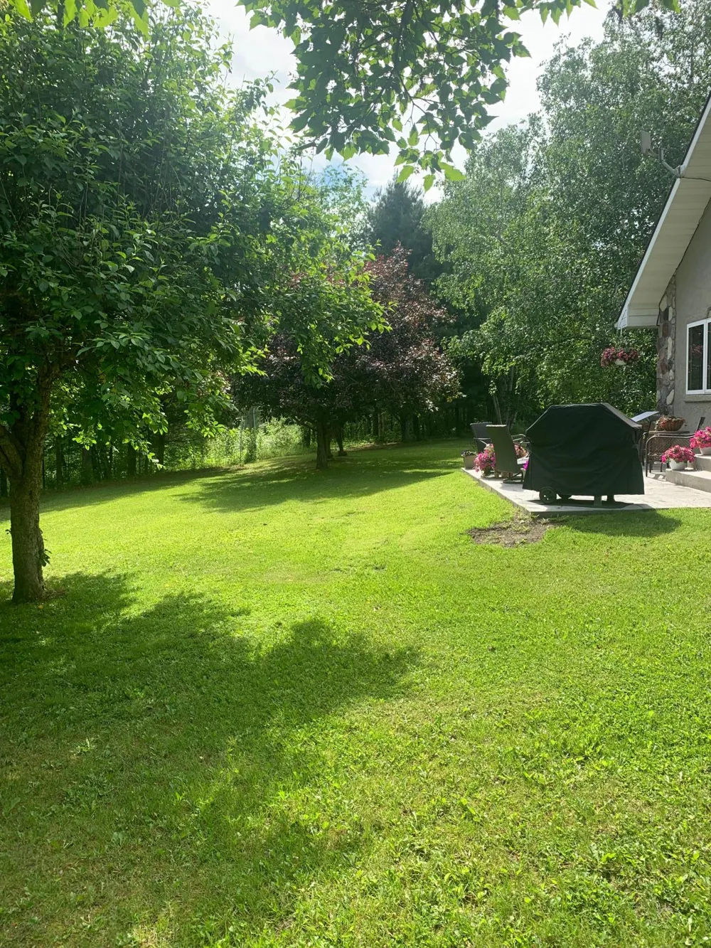 3630 County Road 142 International Falls, MN 56649